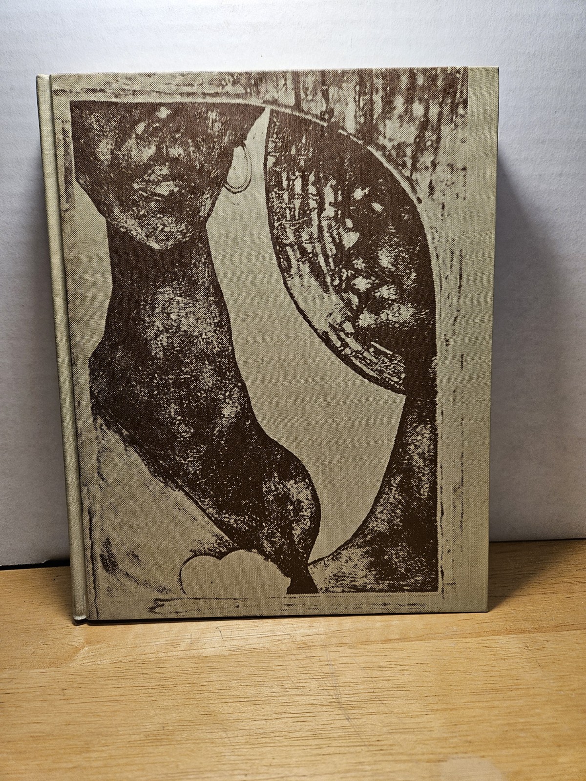 THE AFRO-AMERICAN ARTIST A SEARCH FOR IDENTITY By Elsa Honig Fine – Hardcover