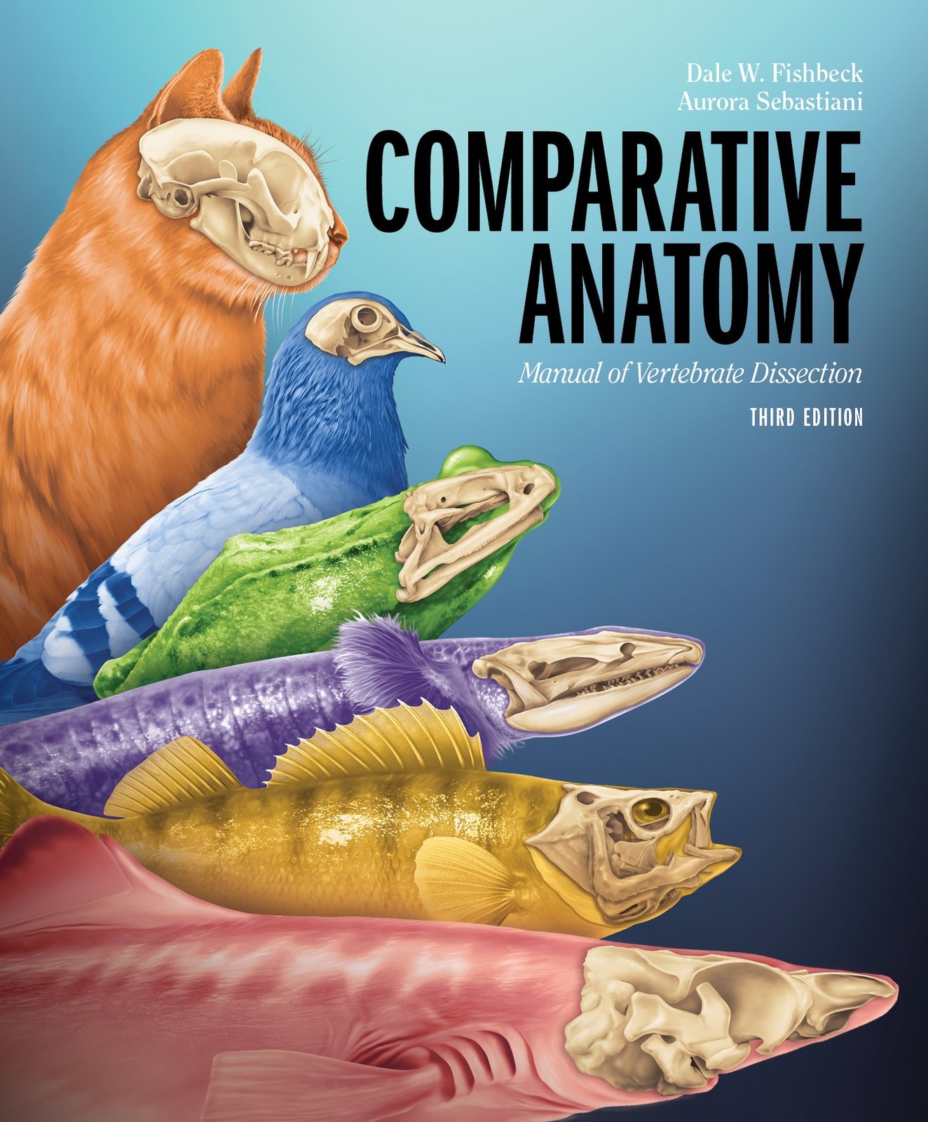 Comparative Anatomy: Manual of Vertebrate Dissection by Fishbeck