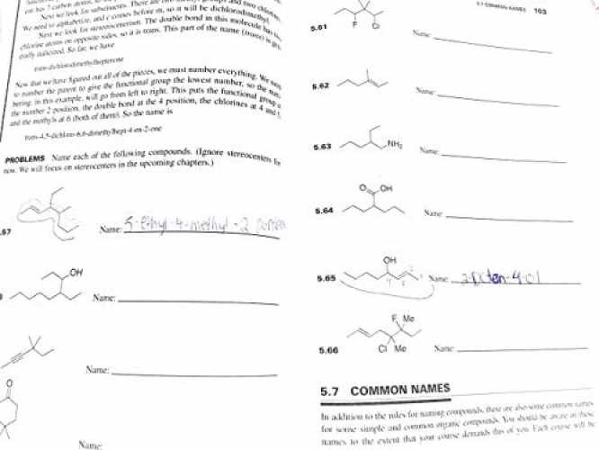 Organic Chemistry I as a Second – Paperback, by Klein David M. – Acceptable n