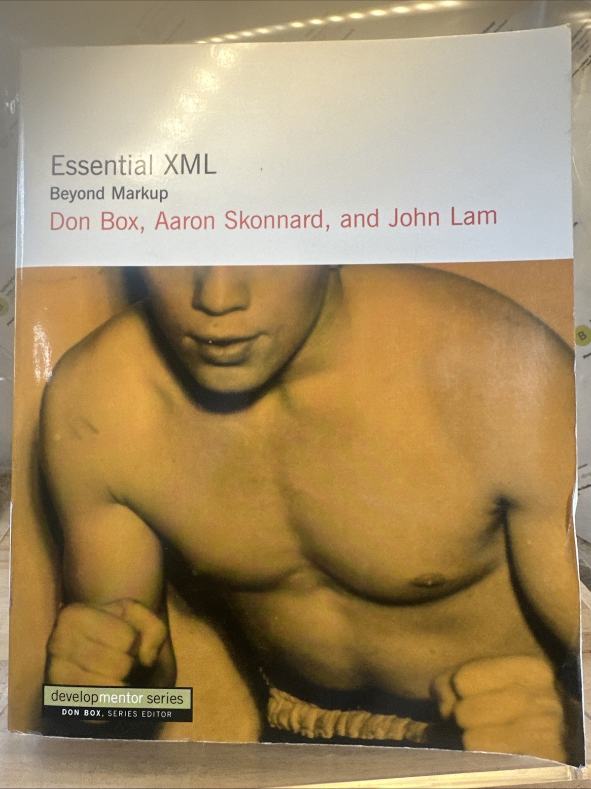Developmentor Ser.: Essential XML : Beyond MarkUp by Don Box, John Lam and Aaron