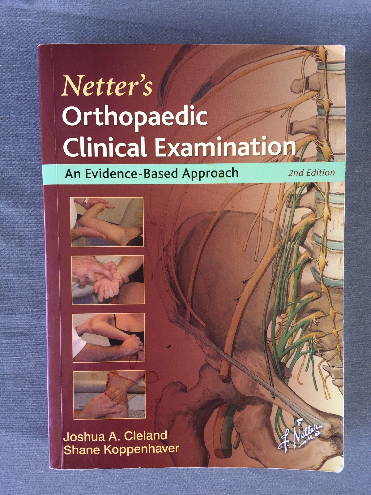 NETTER’S ORTHOPAEDIC CLINICAL EXAMINATION: Cleland & Koppenhaver 2nd Ed