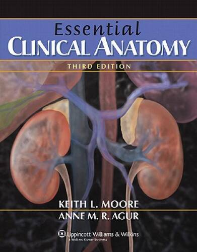 Essential Clinical Anatomy (Point (Lippincott Williams Wilkins)) – GOOD