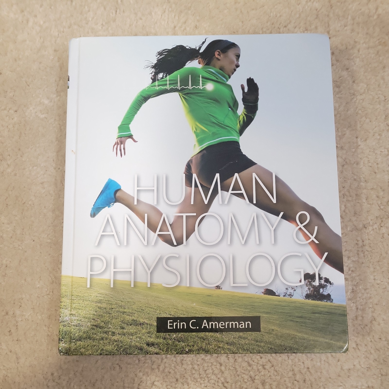 Human Anatomy & Physiology – Hardcover By Amerman. – VERY GOOD