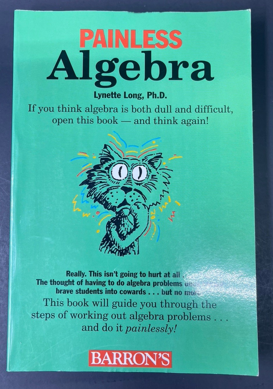 Barron’s Painless Ser.: Painless Algebra by Lynette Long (1998, Trade Paperback)