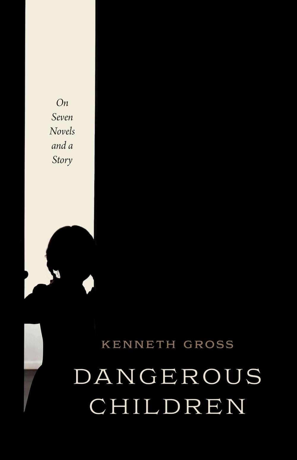 Dangerous Children: On Seven Novels and a Story by Kenneth Gross (English) Hardc