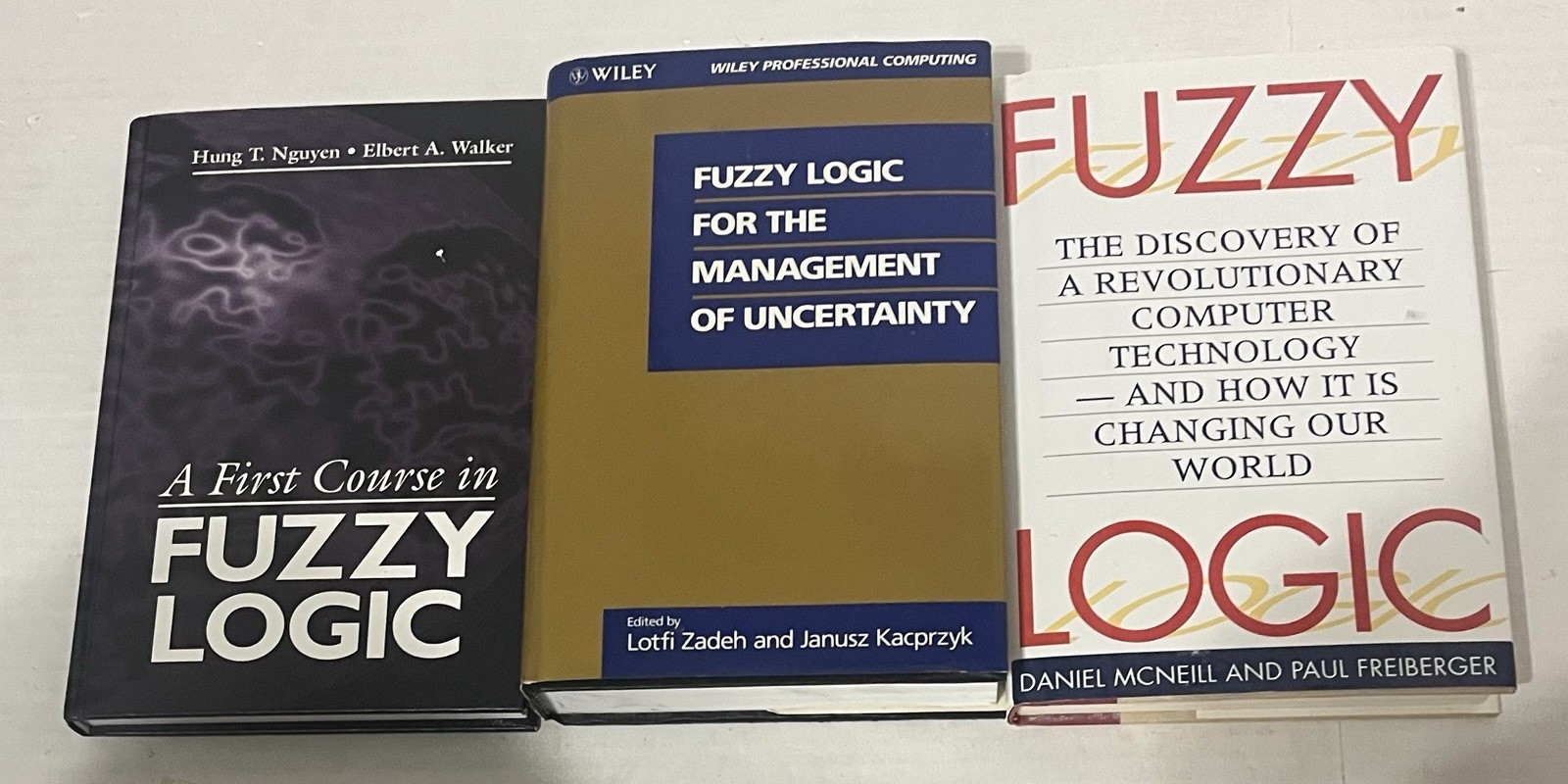 First Course in Fuzzy Logic Fuzzy Logic Fuzzy Logic for Management 3 Hardcover