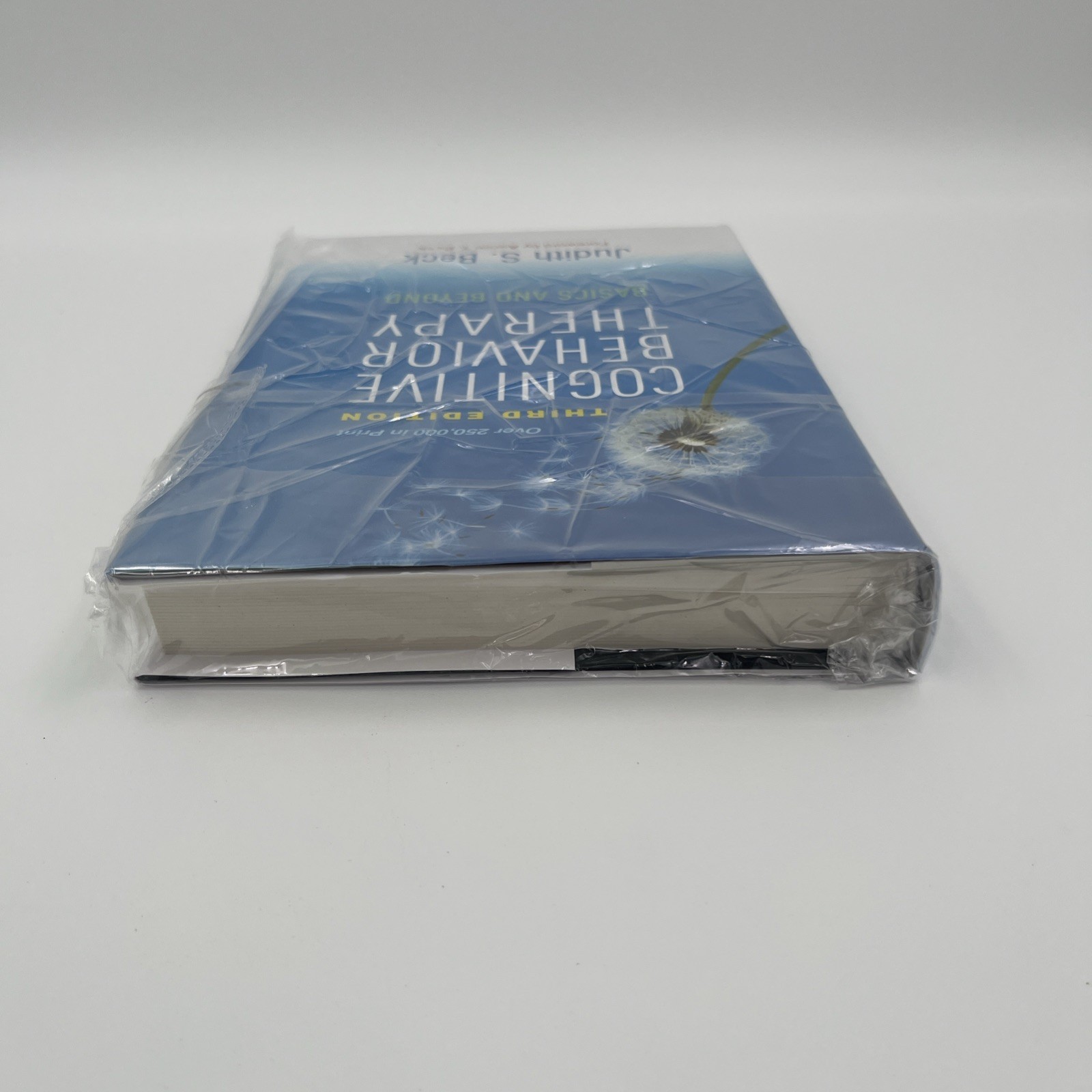 Cognitive Behavior Therapy : Basics and Beyond by Judith S. Beck (2020,…