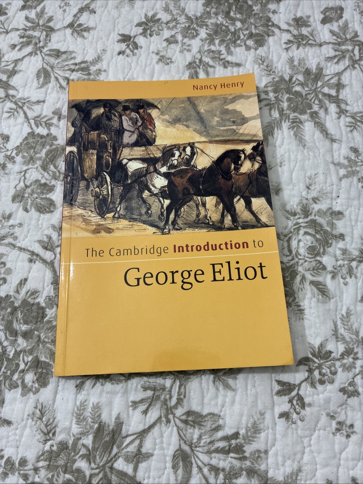 Cambridge Introductions to Literature Ser.: Cambridge Introduction to George…