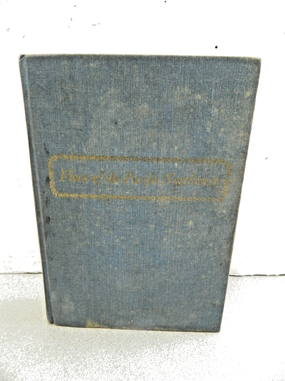 Flora of the Pacific Northwest : An Illustrated Manual by C. Leo Hitchcock…