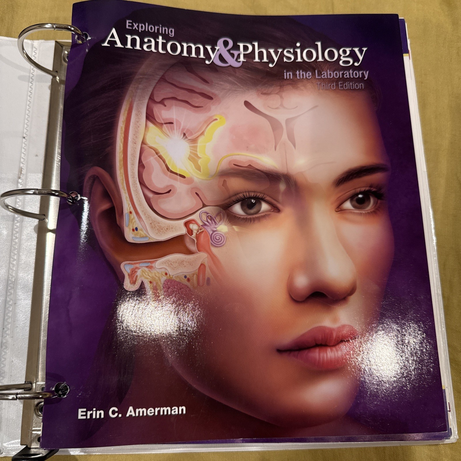 Exploring Anatomy and Physiology in the Laboratory by Erin Amerman 3rd edition