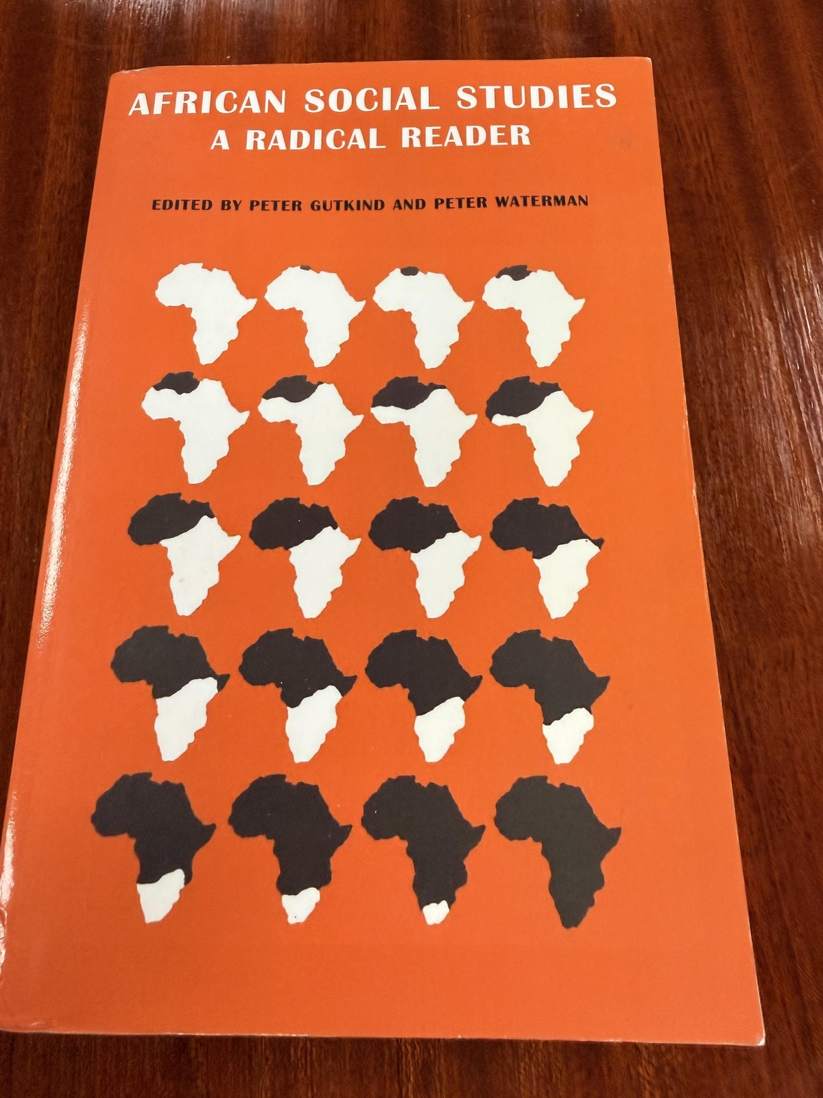 Vintage African Social Studies A Radical Reader Gutkind Waterman Book Paperback