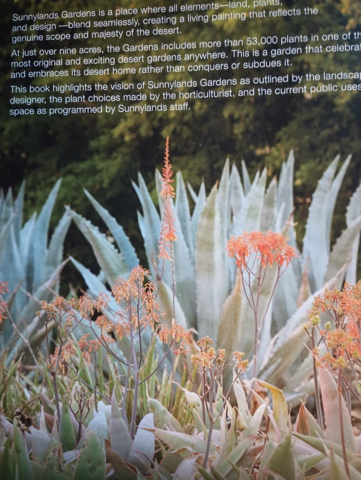 Art and Nature: The Gardens and Sunnylands & The Pleasure of Your Company
