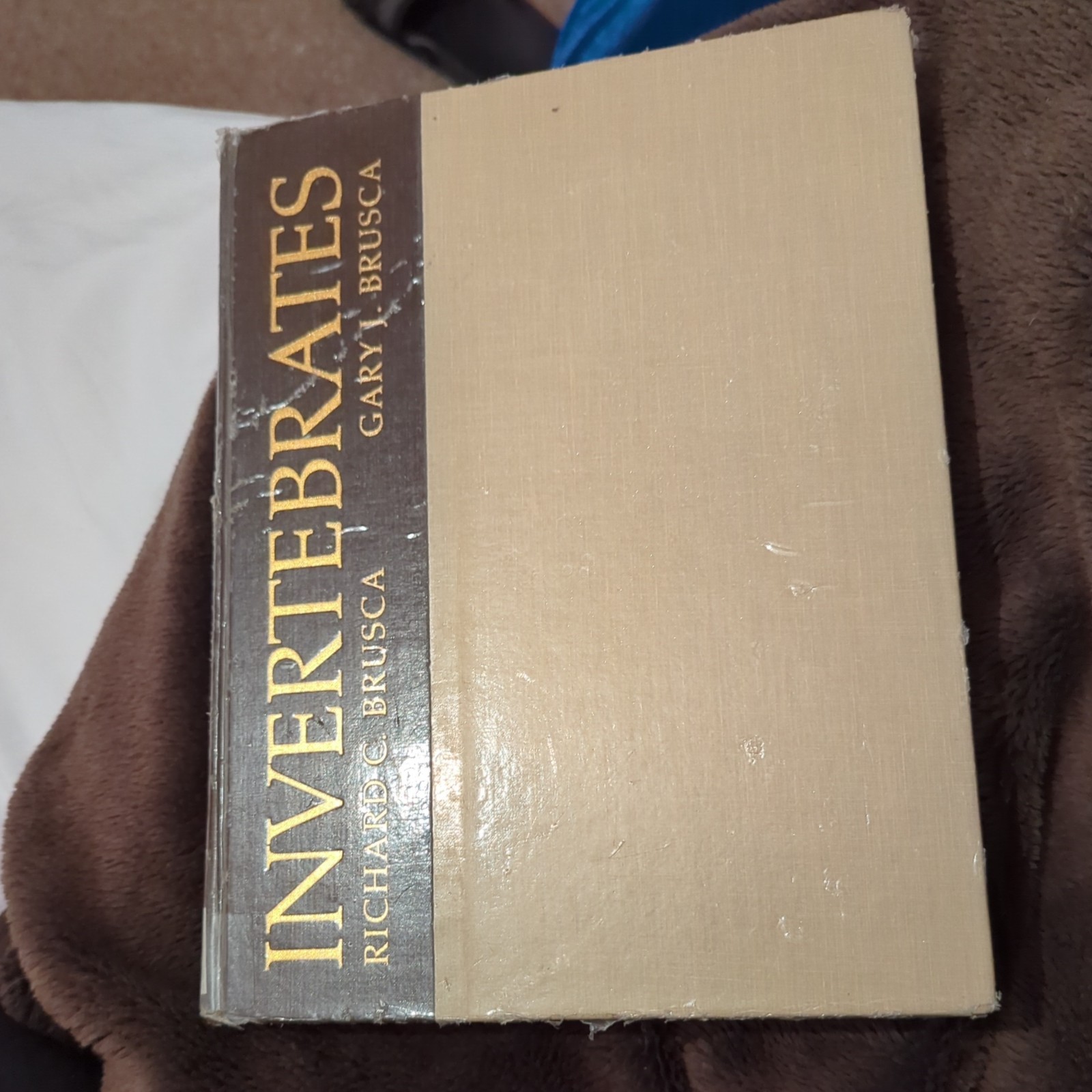 BRUSCA:INVERTEBRATES by Brusca, Richard C., Brusca, G… | excellent condition