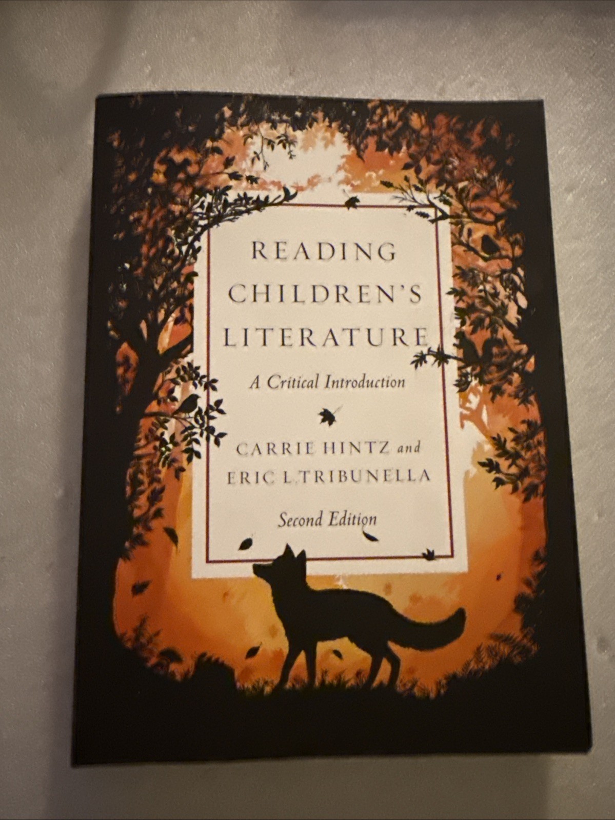 Reading Children’s Literature: A Critical Introduction – Second Edition, Hintz,
