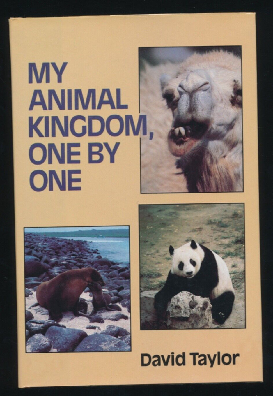My Animal Kingdom One By One David Taylor 1984 Hardcover Book Veterinarian Story