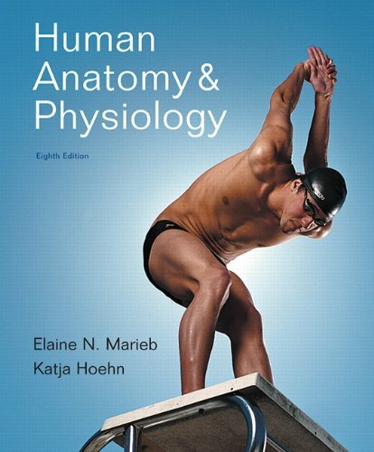 Human Anatomy And Physiology by Elaine N Marieb