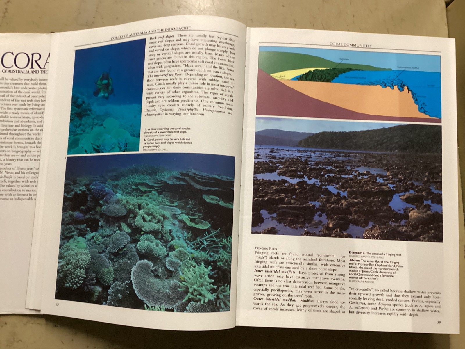 Corals of Australia and the Indo-Pacific by J.E.N. Veron 1986 HC DJ Angus
