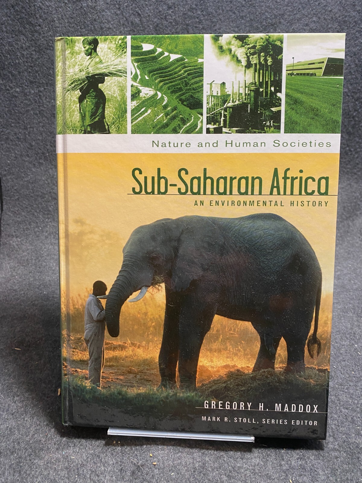 Nature and Human Societies Ser.: Sub-Saharan Africa :