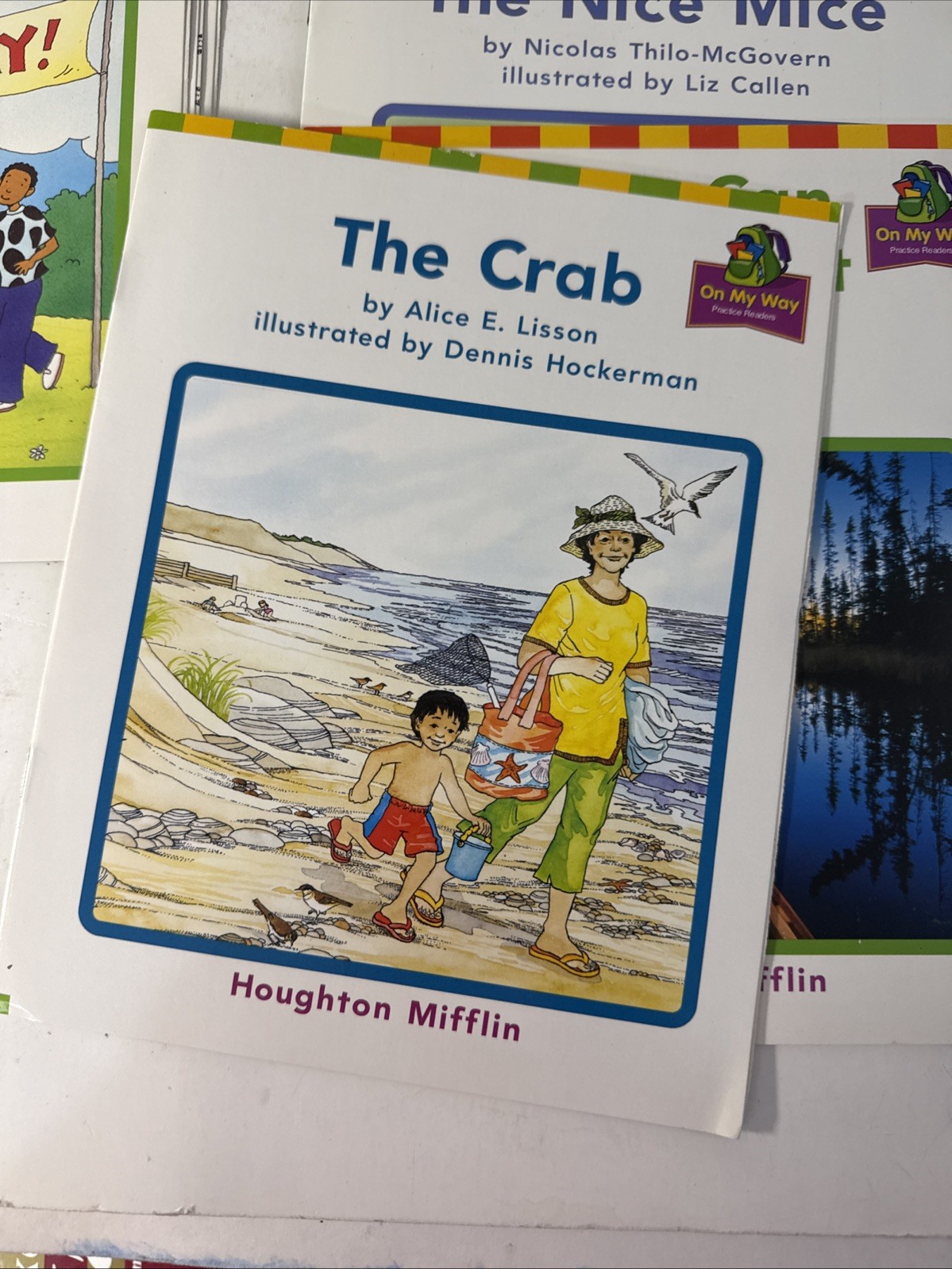 On My Way Practice Readers, Grade 1, Lots Of 12 Booklets