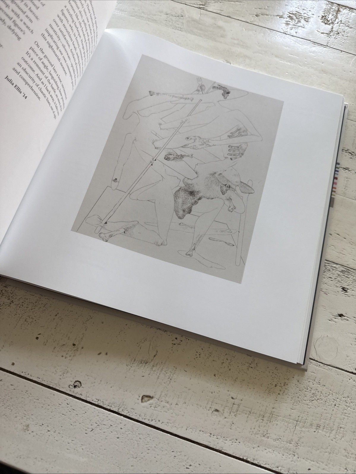 Davidson Collects 100 Writers Respond to Art 2012 HC Art Essays Book