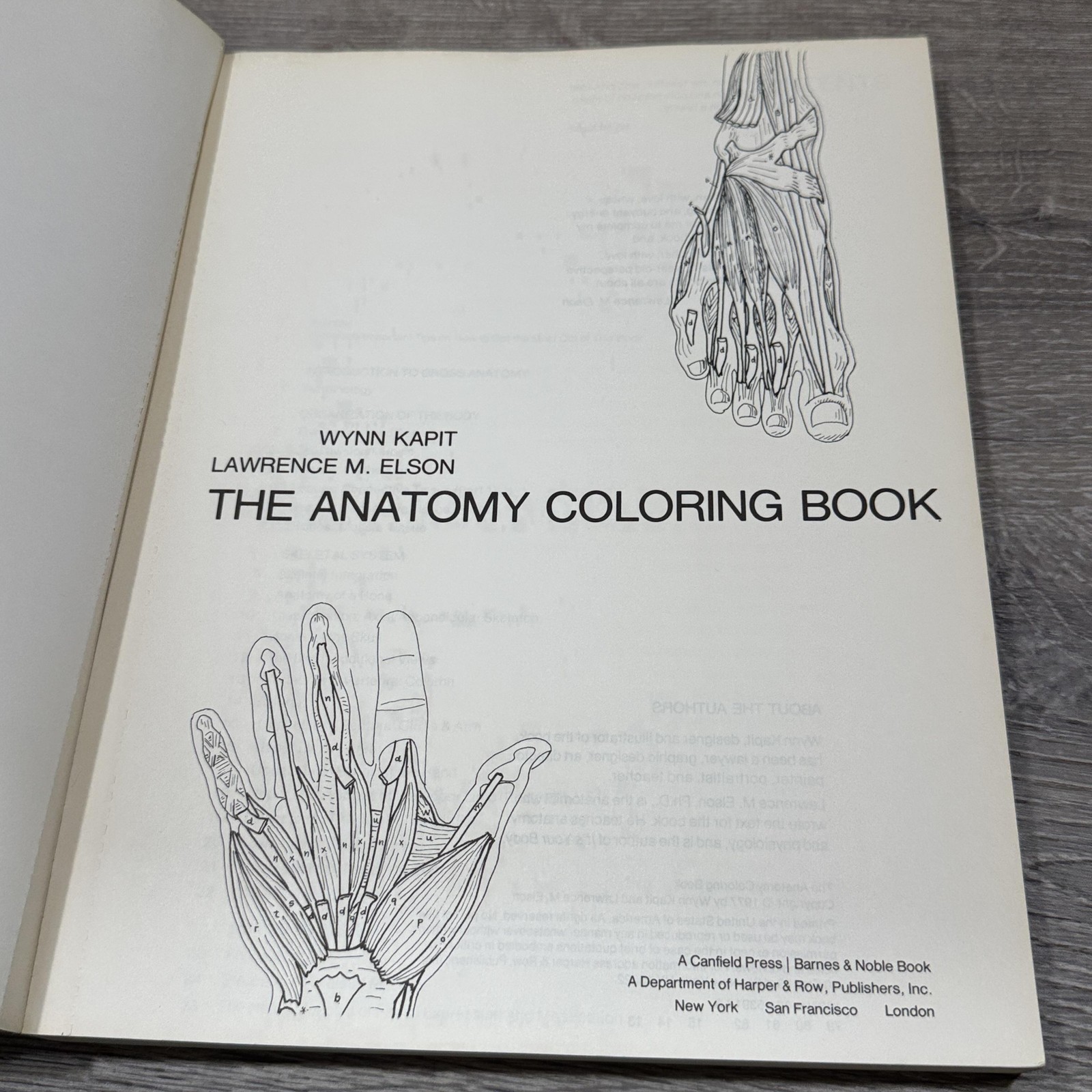 Vintage The Anatomy Coloring Book Kapit Elson Harper & Row Beige PB USA 1977