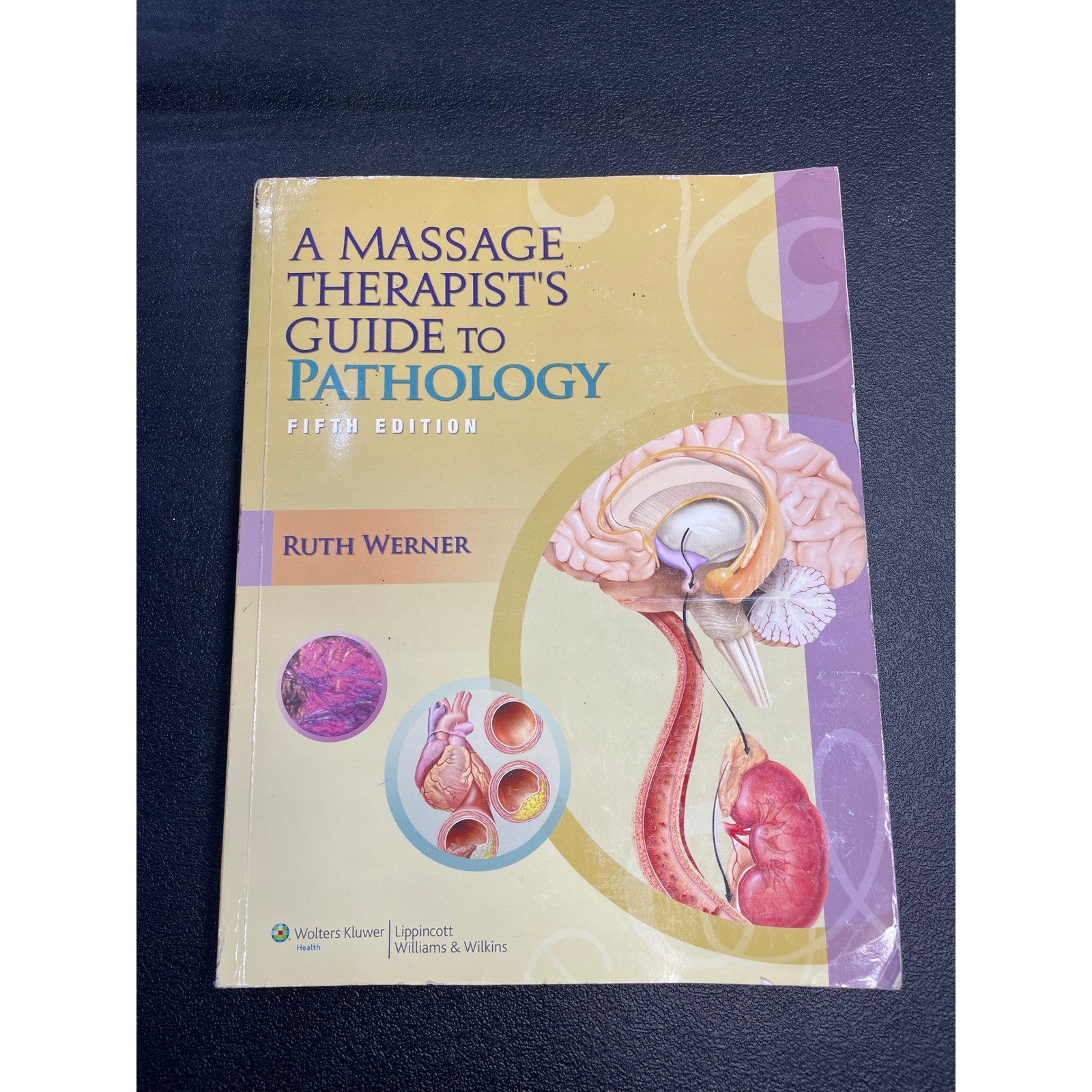 A Massage Therapist’s Guide to Pathology 5th Edition Ruth Werner Textbook