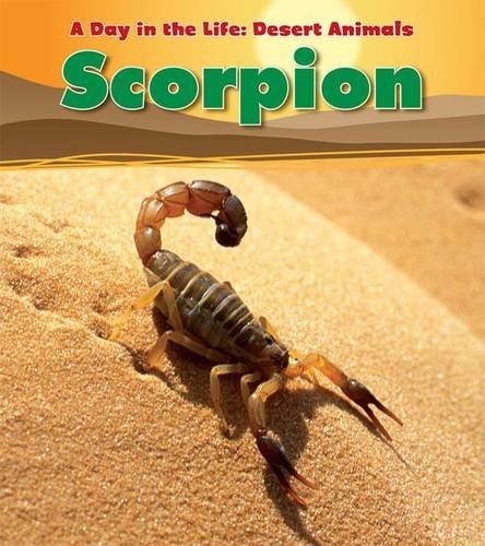 Scorpion (A Day in the Life: Desert Ani… by Ganeri, Anita Paperback / softback