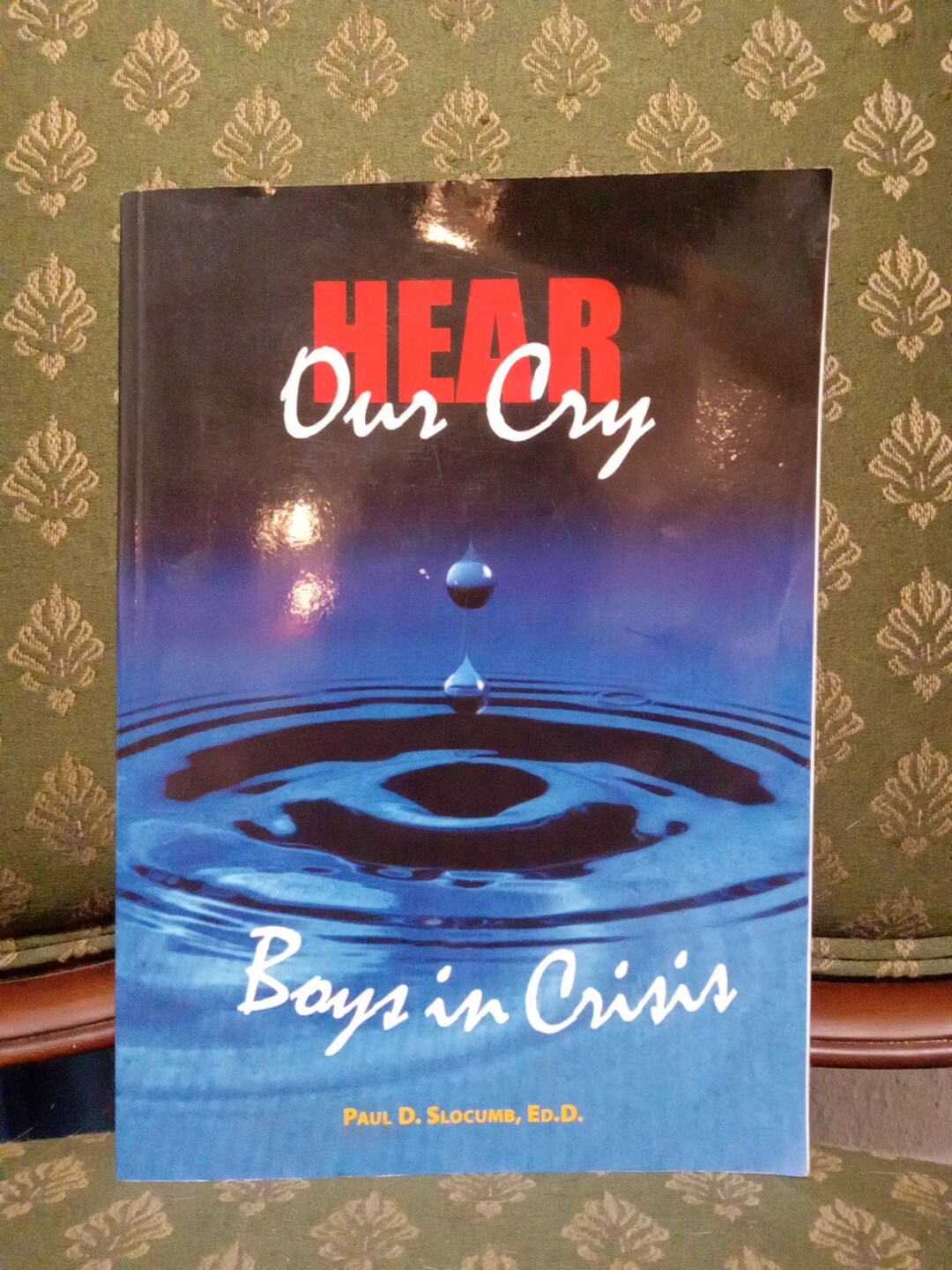 Hear Our Cry : Boys in Crisis by Paul D. Slocumb 2004 Paperback – Good Free Ship