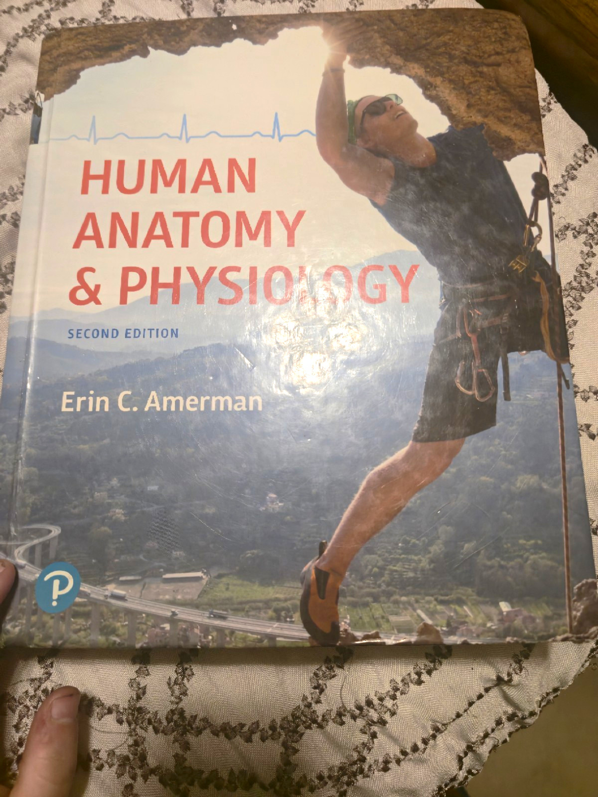 Human Anatomy & Physiology 2nd Edition Textbook Book by Erin C. Amerman Pearson