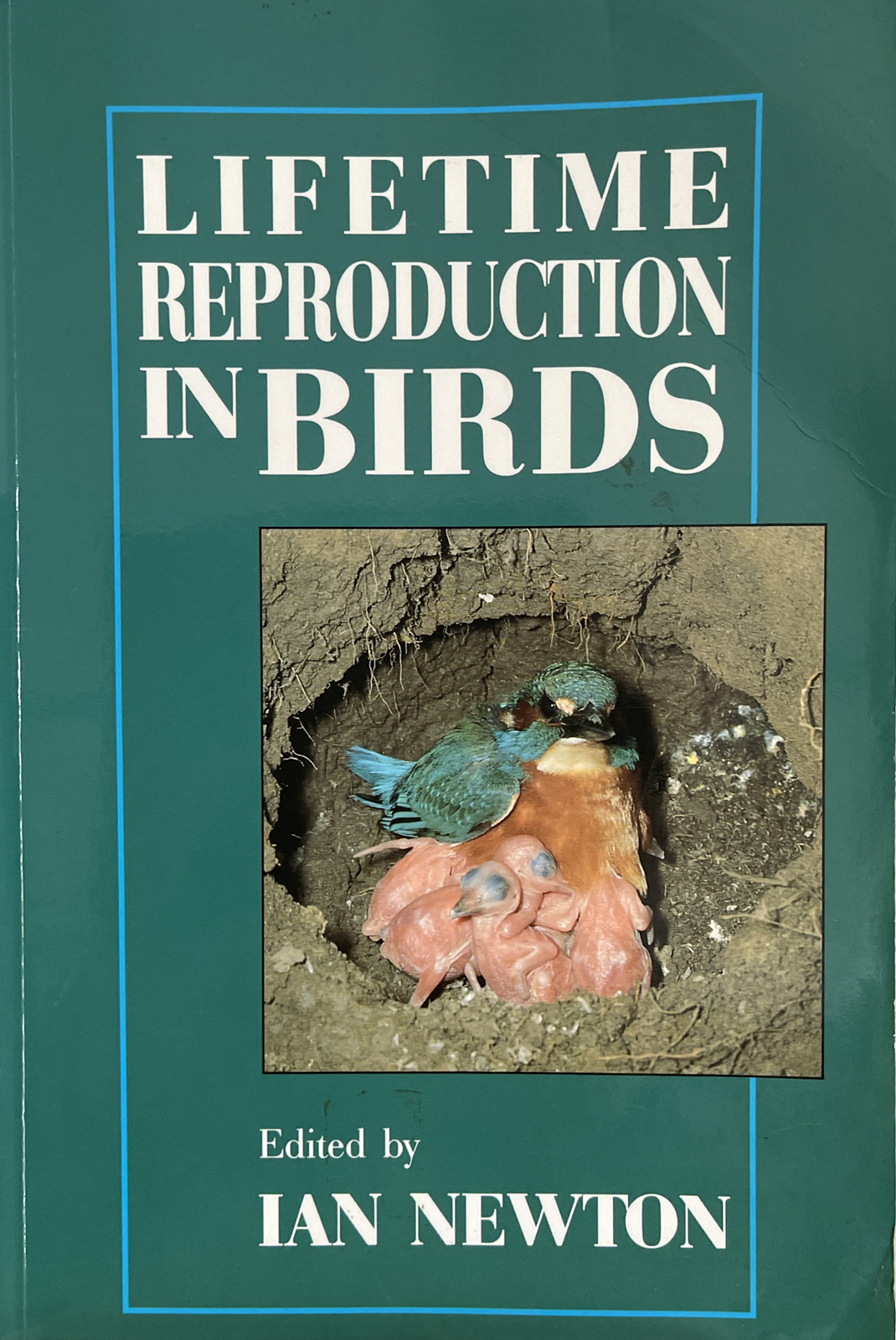 Lifetime Reproduction In Birds Edited By Ian Newton 1989 Paperback